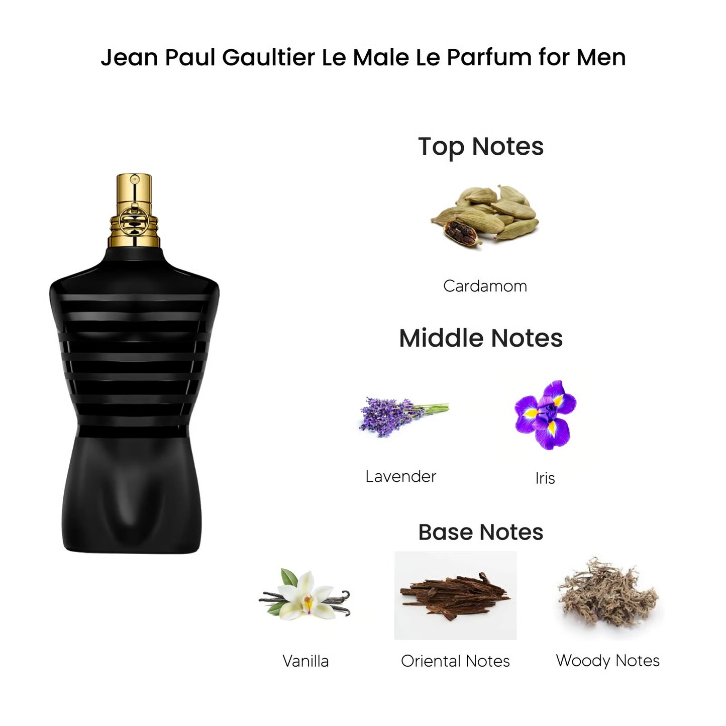 Jean Paul Gaultier Men's Le Male Le Parfum EDP